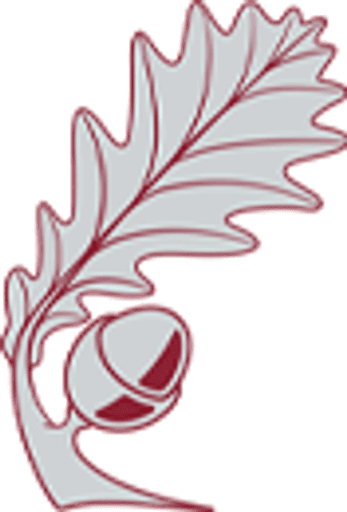 Shire Oak Academy logo