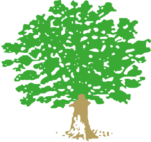 Chulmleigh Primary School logo