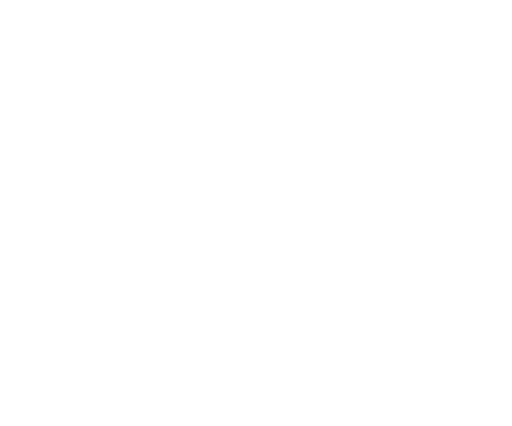 Stratford Upon Avon School logo
