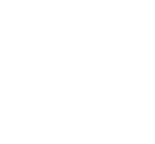 The Martin High School Anstey logo
