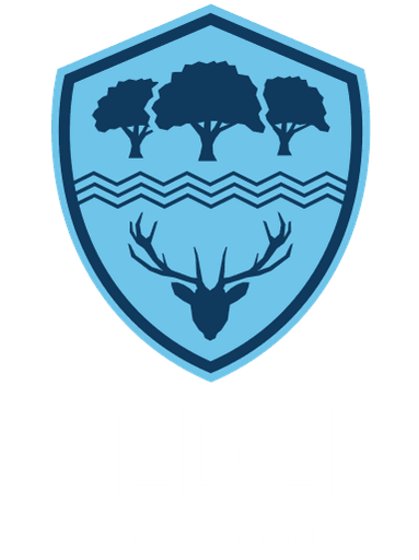 Meden School logo