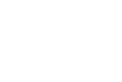South Bromsgrove High logo
