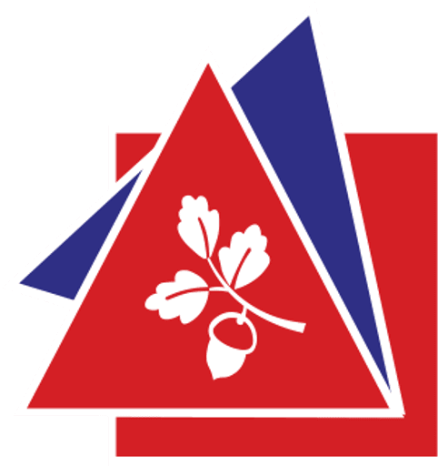 Djanogly Strelley Academy logo