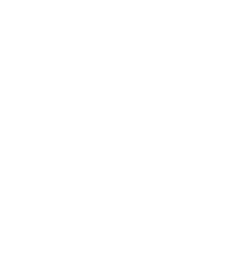 Barnwell Academy logo
