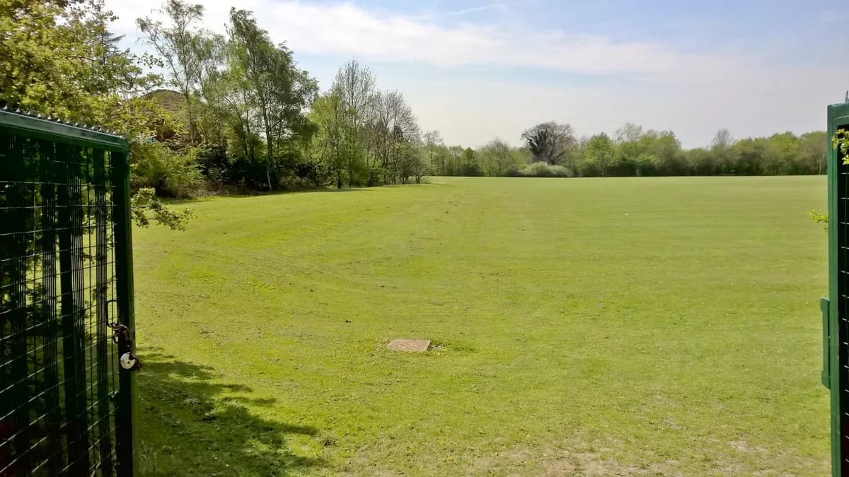 The Ripley Academy, Ripley