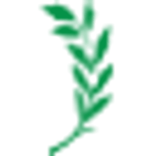 Sewell Park Academy logo