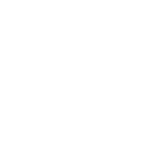 Danesholme Junior Academy logo