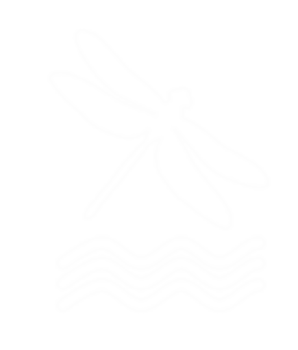 Lakeside Nursery & Primary Academy logo