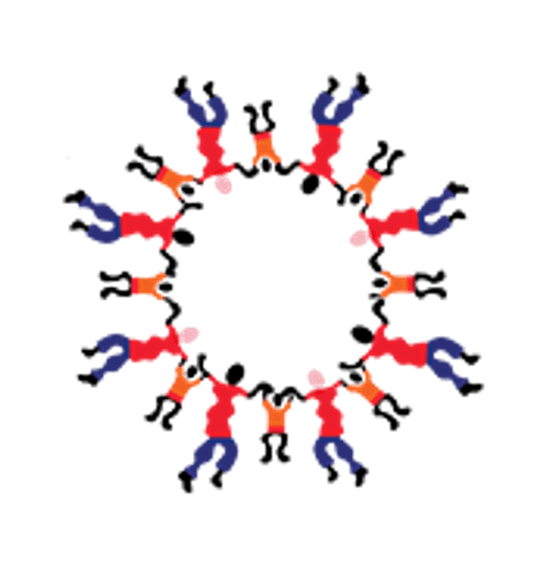 St John the Evangelist Catholic Primary School logo