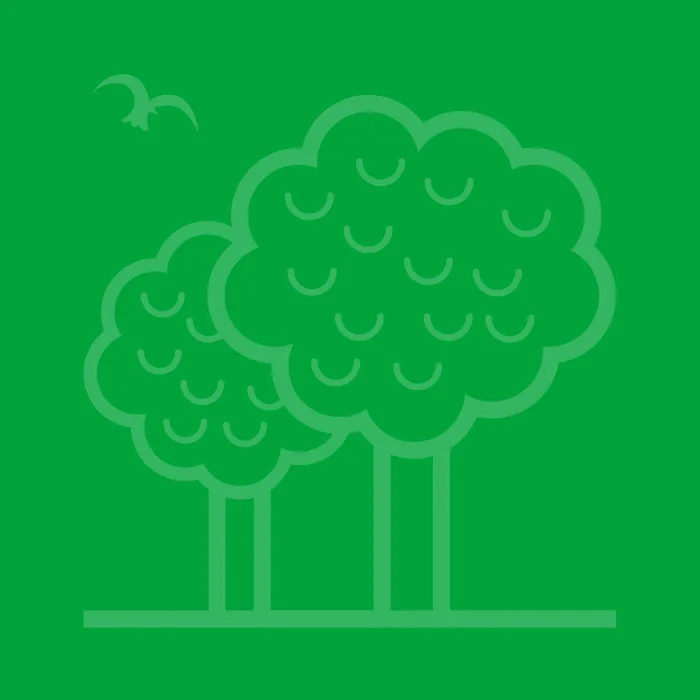 Doubletrees School, Par
