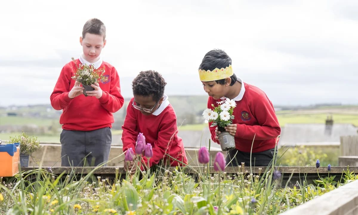 Denholme Primary School, Bradford