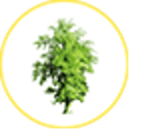 Elm CofE Primary School logo