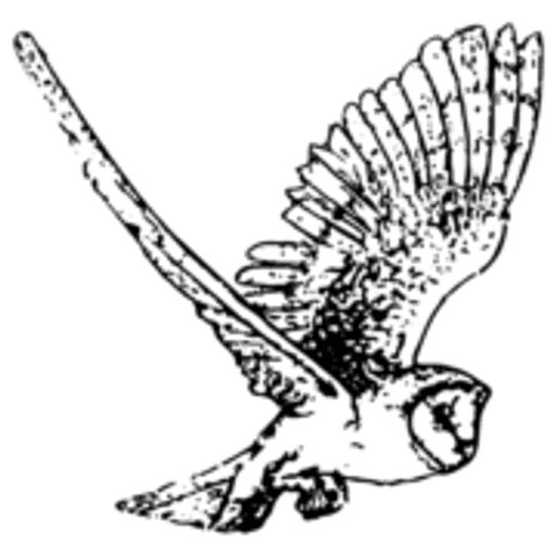 Garras Community Primary School logo