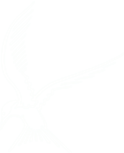 Mullion School logo