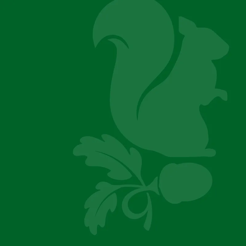 Hamsey Green Primary, Warlingham