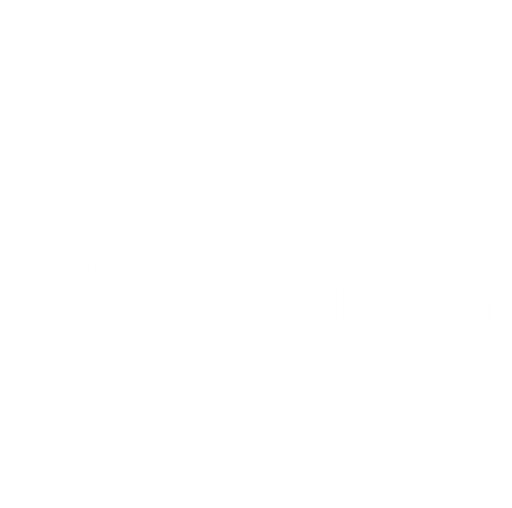 Orion Blenheim logo