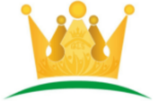 Great Kingshill Church of England Combined School logo