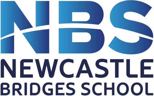 Newcastle Bridges School logo