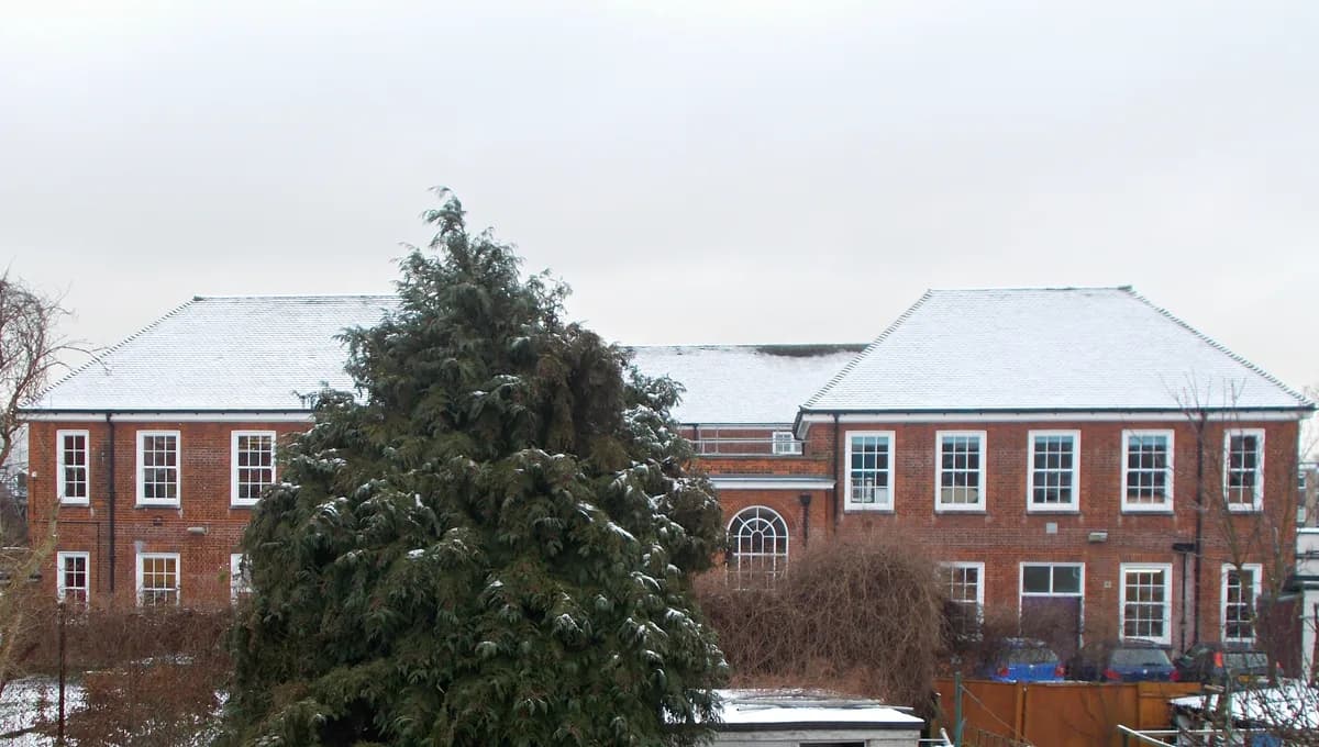 The Limes College, Sutton