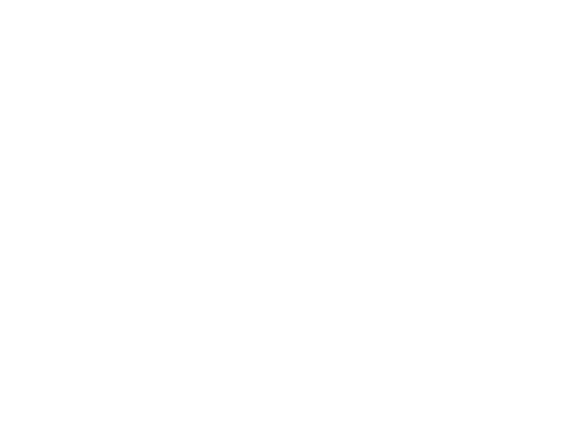Meole Brace School logo