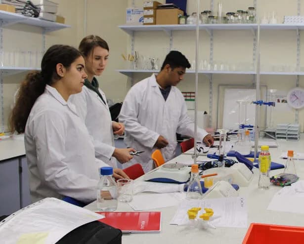 LSI Independent College, Camden