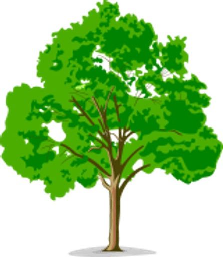 Bedgrove Junior School logo