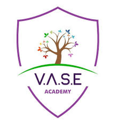 V.A.S.E Academy logo