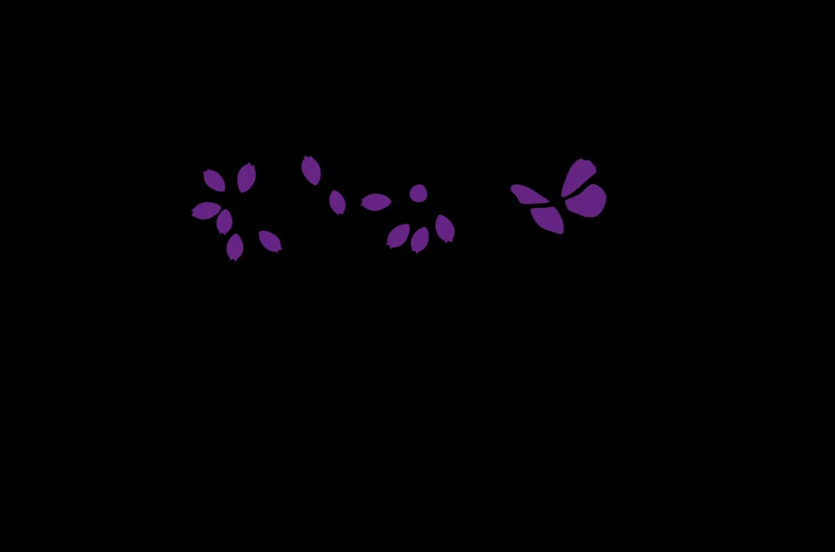 Lavender Field School, Crewe