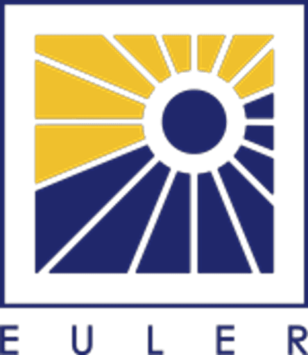 Euler Academy logo