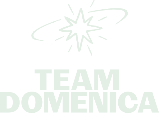 Team Domenica logo