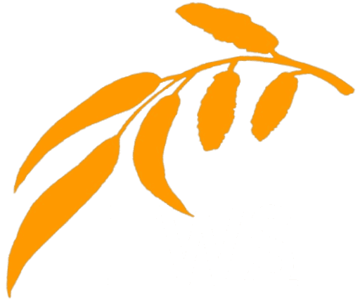 The Willows School logo