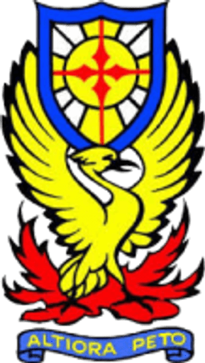 St Andrew's Senior School, Turi logo