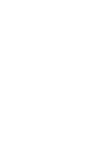 Bolnore Village Primary School logo
