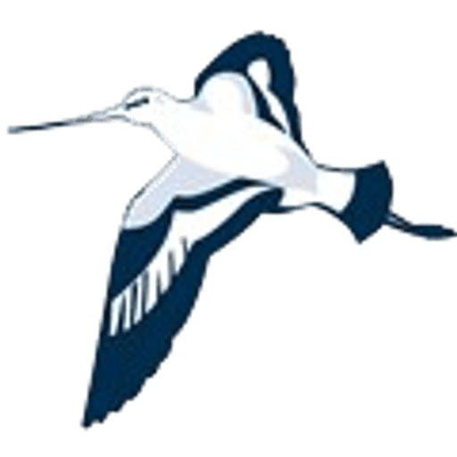 Woodfall Primary and Nursery School logo