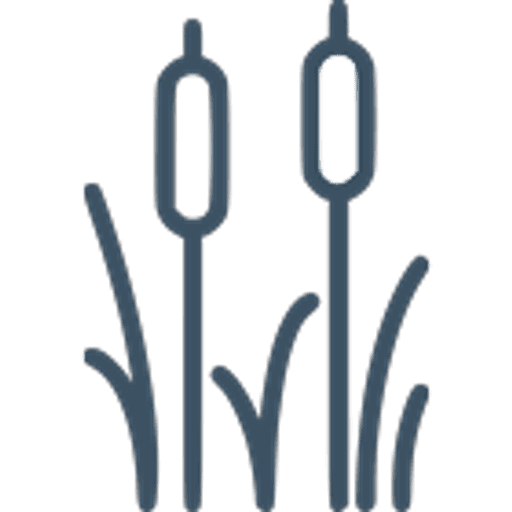 River Academy logo