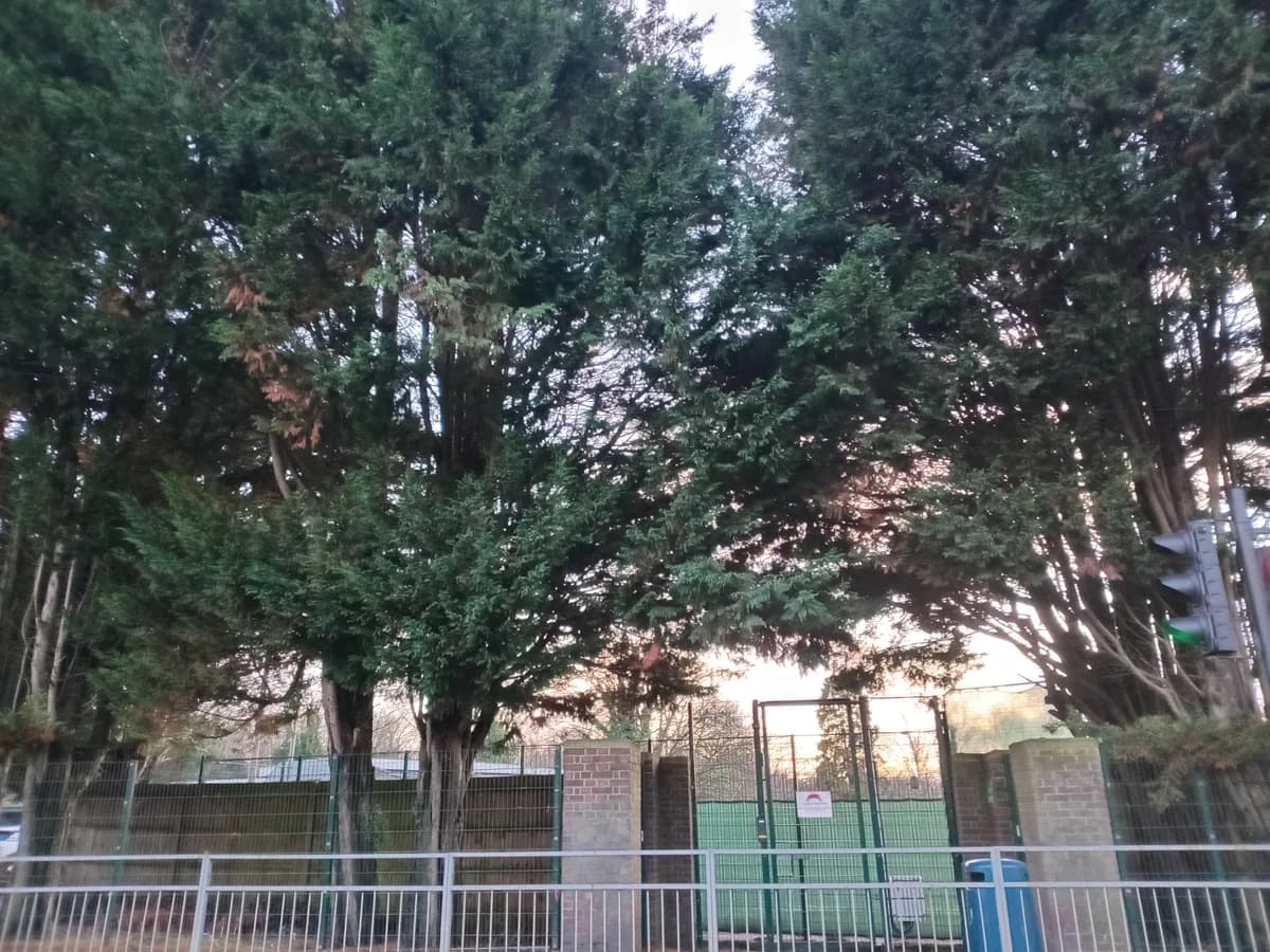 Dollis Primary School, London