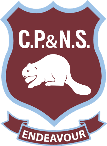 Corrie Primary School logo