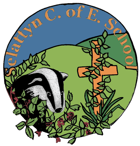 Selattyn CofE Primary School logo